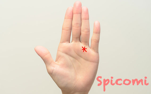 太陽丘のスター線