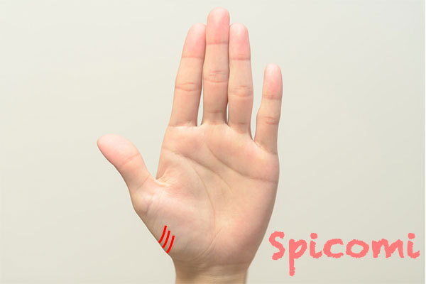 3本のカリスマ線がある