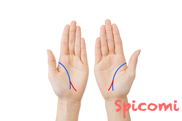 旅行線が両手にある