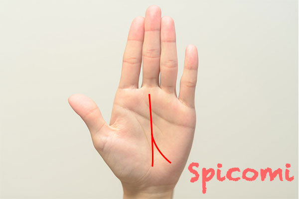 運命線の二股の片方が月丘から伸びている