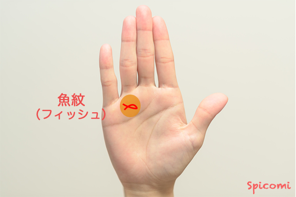 ［手相占い］太陽丘にフィッシュ（魚紋）がある