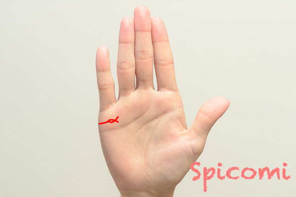 右手の結婚線のフィッシュ