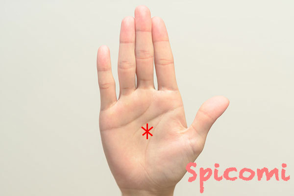 右手に米印アスタリスクがある