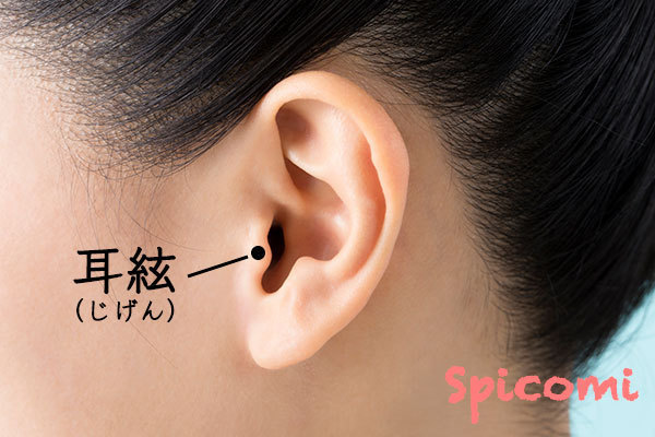 耳の横(耳絃)のほくろの意味と運勢