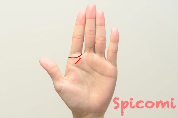 ソロモンの環とリーダー線がある