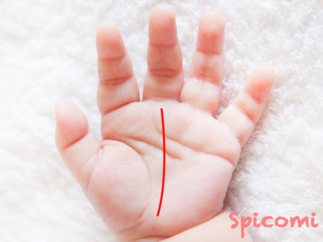 赤ちゃんの運命線の意味と見方