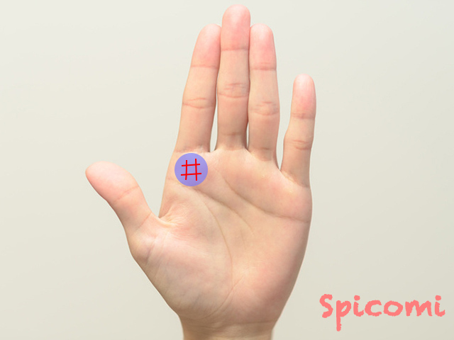 人差し指の下(木星丘)の井の字・四角紋・スクエア