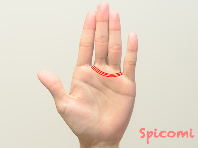 金星帯が三重・3本・複数