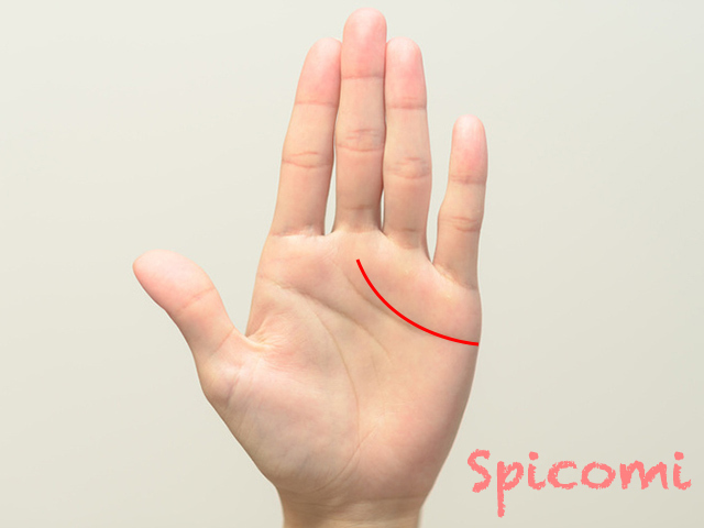 感情線自体が中指に伸びるときの意味