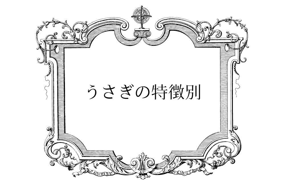 【特徴別】うさぎの夢の意味