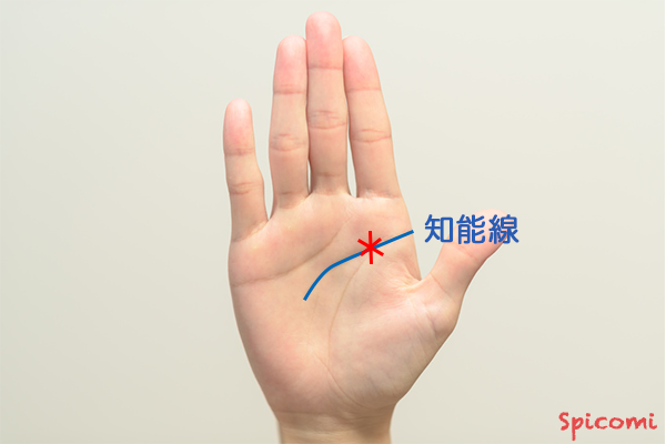 ［手相占い］星紋（スター）が知能線に関わる位置にある