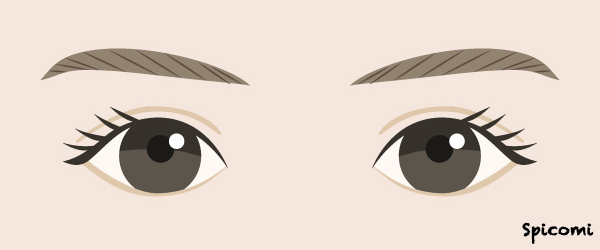 丸めのアーモンド目の性格・運勢［目の形の種類・人相占い］