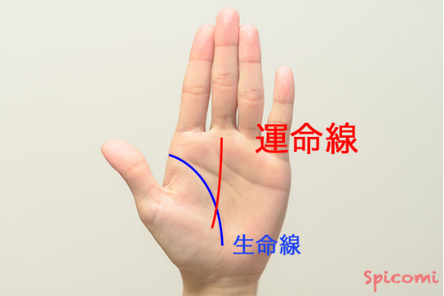 ［手相占い］生命線と交わる場所や生命線の下のあたりから始まる運命線