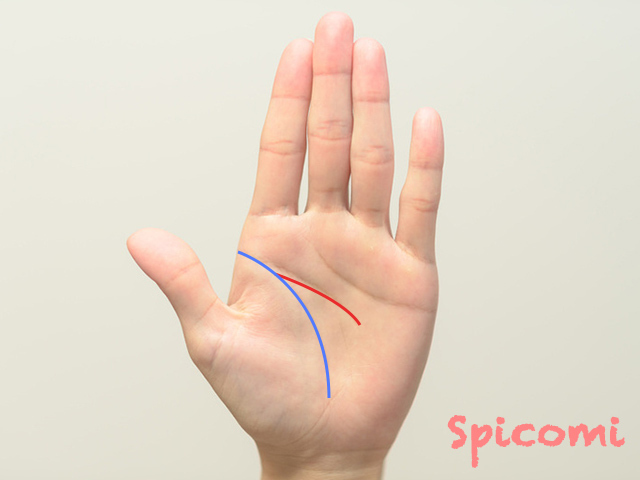 4. 知能線が生命線上から伸びる