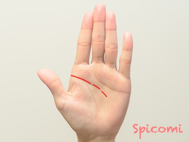 4. 切れ切れの頭脳線