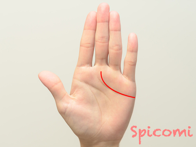 4. 終点が中指の付け根に向かって跳ね上がる感情線