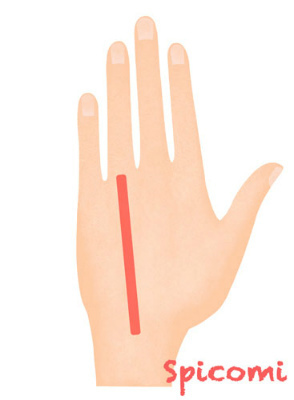 ［ほくろ占い］手の甲で左手薬指の延長線上にあるほくろ