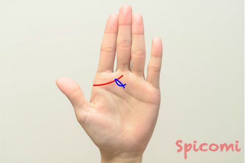 千金紋（成り上がり線）に魚紋・フィッシュがある場合