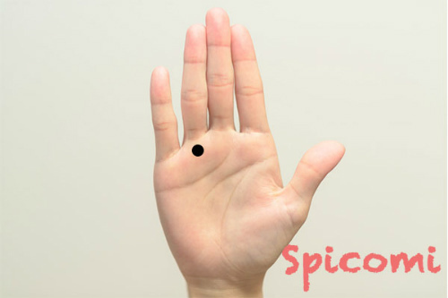 右手薬指の付け根（太陽丘）のほくろ