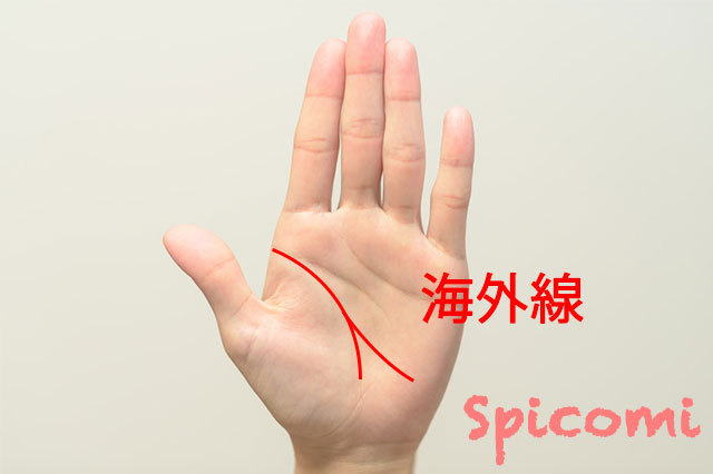 生命線が二股に分かれる海外線(旅行線)