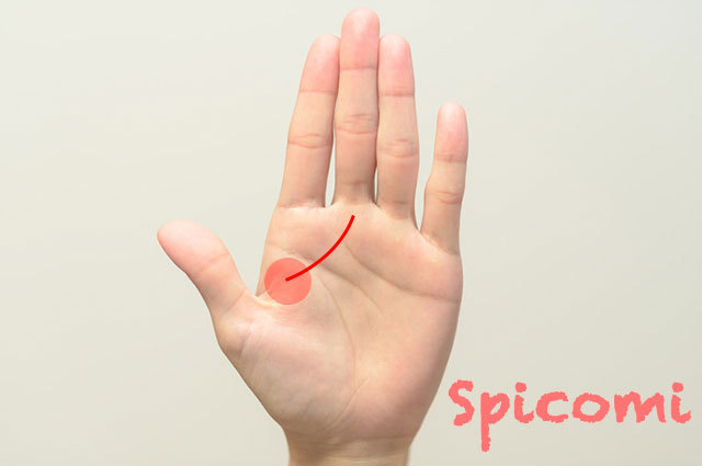 第一火星丘から伸びる運命線