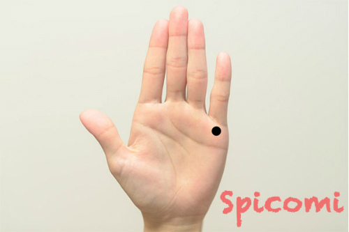 左手小指の付け根（水星丘）のほくろ