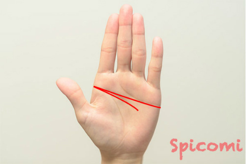 二重知能線を持つ変形ますかけ線の場合