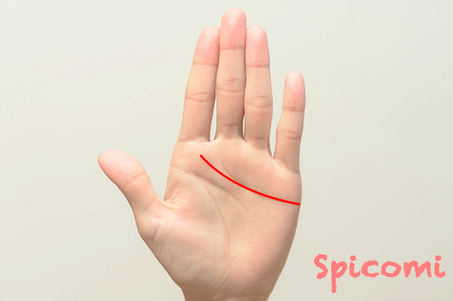 感情線の終点が人差し指の付け根まで伸びている