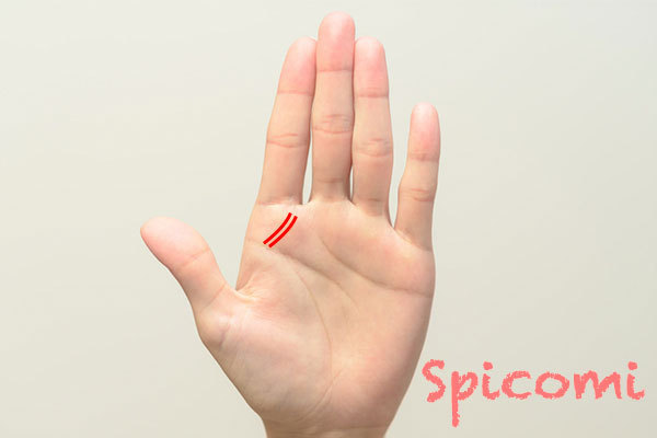 リーダー線が二本・複数・何本もある