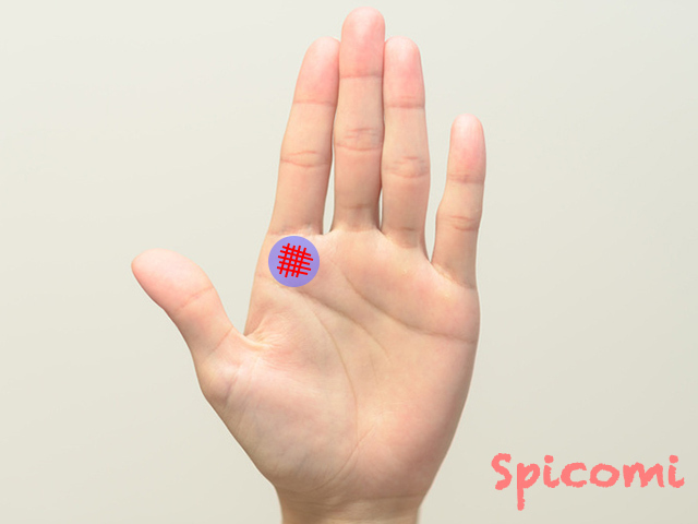 人差し指の下(木星丘)の格子紋・グリル