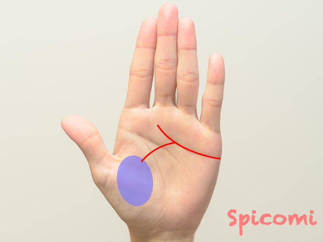 未練タラタラ線がある