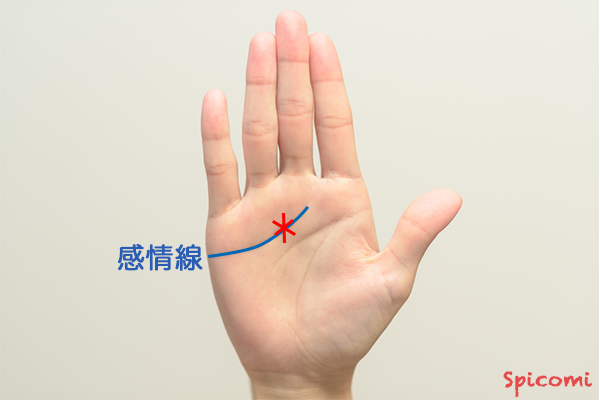 ［手相占い］星紋（スター）が感情線上にある
