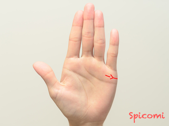 4. 結婚線が二股に分かれ再会線がある