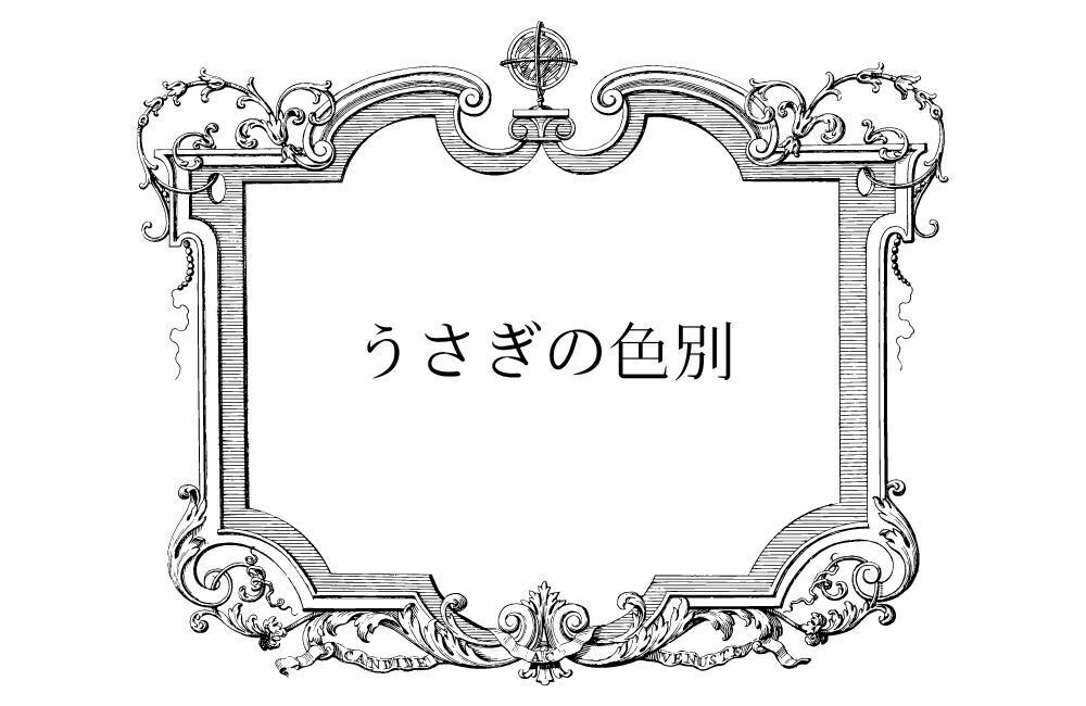 【色別】うさぎの夢の意味
