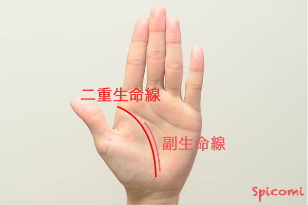 ［手相占い］二重生命線の副生命線が外側にある場合