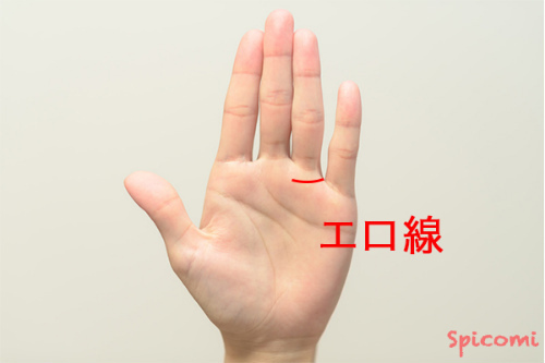 ［手相占い］エロ線が薬指と小指の間から伸びて半分だけ現れている