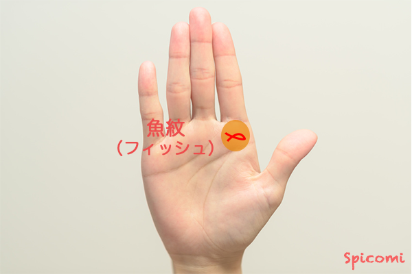 ［手相占い］木星丘にフィッシュ（魚紋）がある