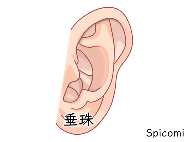 耳たぶ(垂珠)のニキビ占い