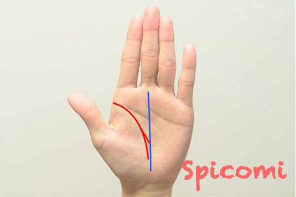 生命線から枝分かれした線が運命線に接している