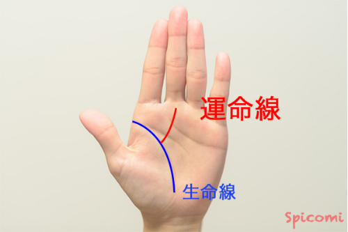 ［手相占い］生命線上や生命線の上のあたりから始まる運命線