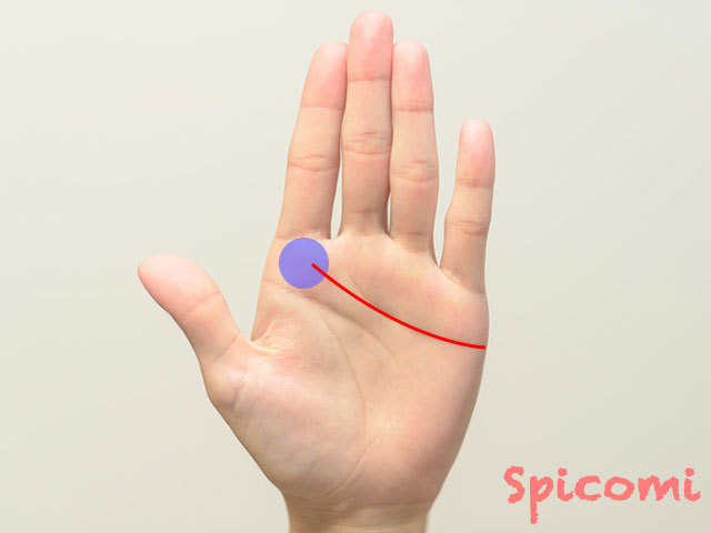 終点が木星丘にある感情線