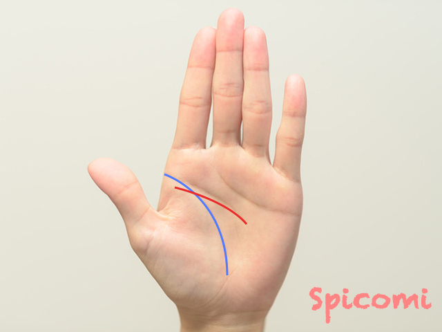 5. 知能線が生命線の内側から伸びる