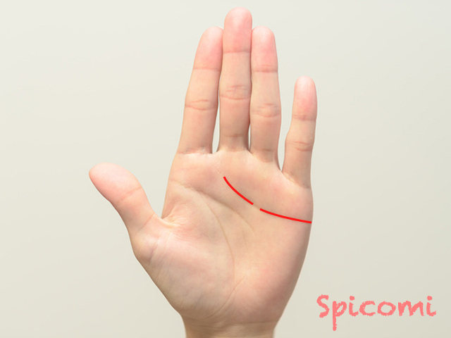 5. 切れ目のある感情線