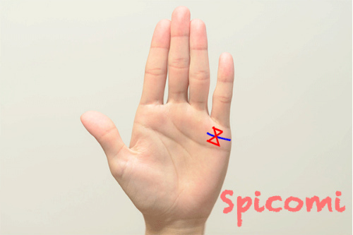 蝶々紋（リボンマーク）が結婚線上にある