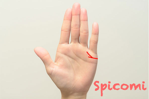 結婚線が二股に枝分かれして長い