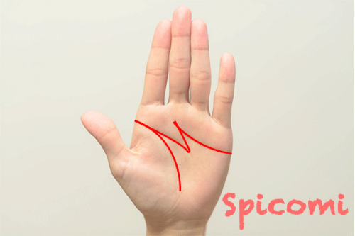 ラッキーM［手相占い］