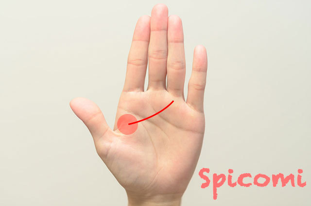 第一火星丘から伸びる太陽線