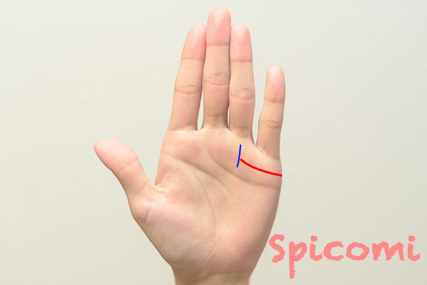 長い結婚線が太陽線に接している