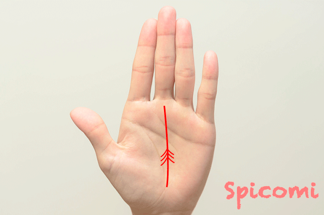 運命線を支えるような線がある