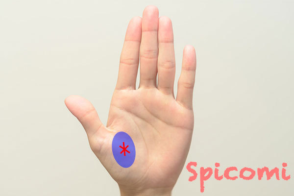 金星丘にスター線がある